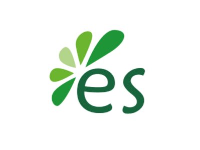 Energy & Strategy Group